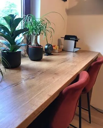 Gorgeous In Exhilarating Mountainous Surroundings Appartement Bad Reichenhall